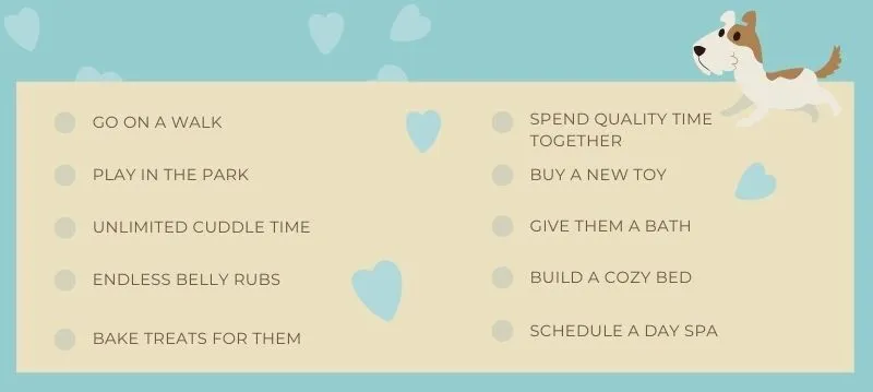 Basic Dog Care Checklist for New Owners