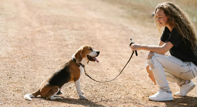 Understanding Dog Behavior and Training