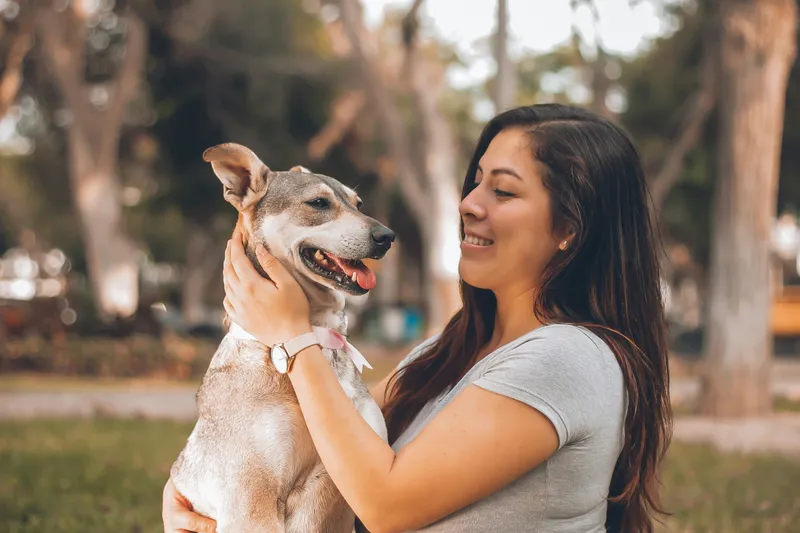 Dogs Show Love Through Eye Contact
